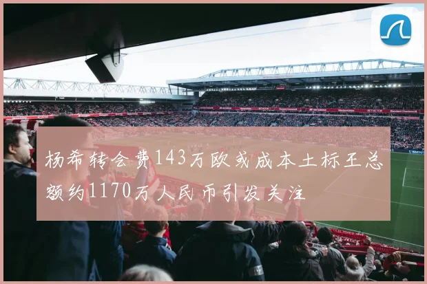 杨希转会费143万欧或成本土标王总额约1170万人民币引发关注