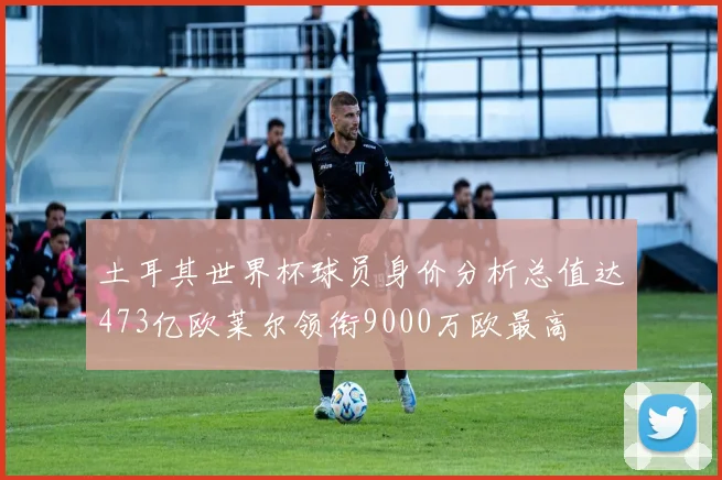 土耳其世界杯球员身价分析总值达473亿欧莱尔领衔9000万欧最高