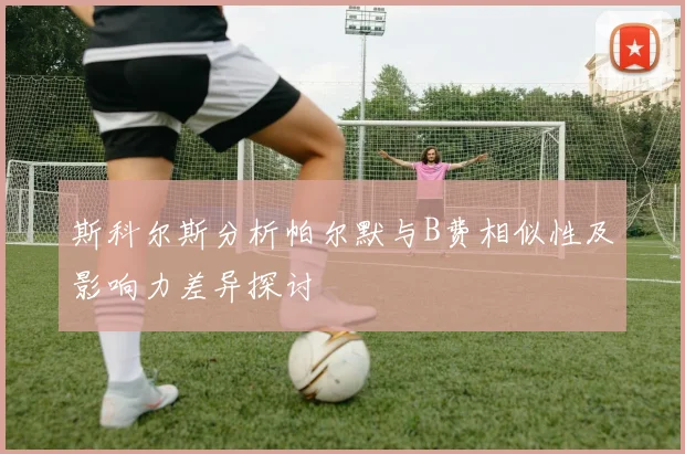 斯科尔斯分析帕尔默与B费相似性及影响力差异探讨