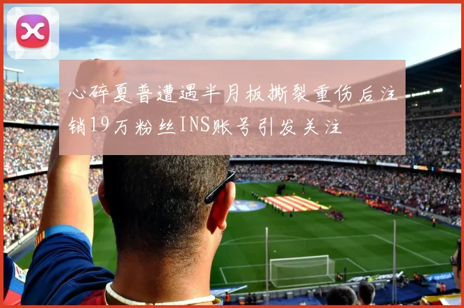 心碎夏普遭遇半月板撕裂重伤后注销19万粉丝INS账号引发关注